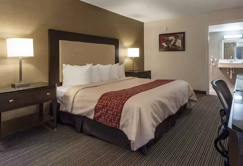 酒店 Red Roof Inn & Suites Dekalb