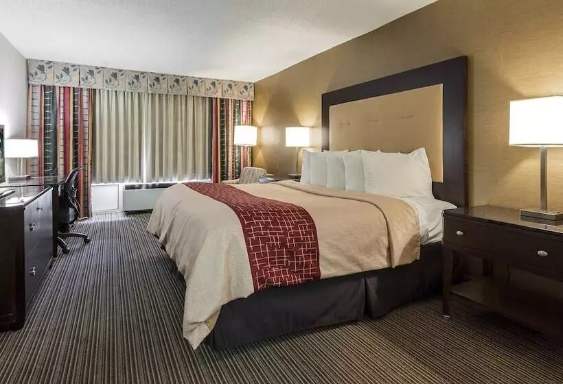 酒店 Red Roof Inn & Suites Dekalb