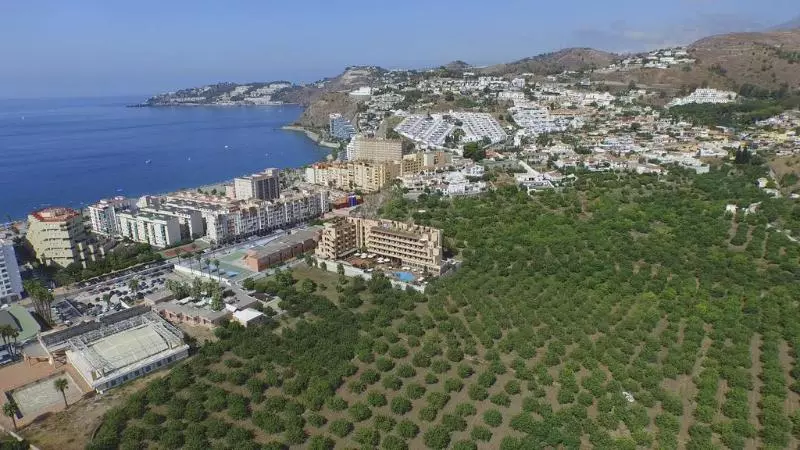 فندق Victoria Playa