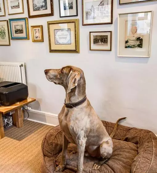 فندق White Hart Inn