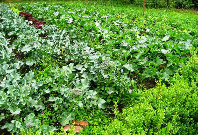 酒店 Virginia Park Lodge