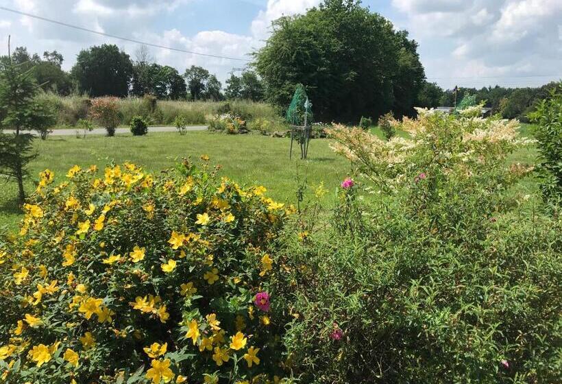 צימר Chambre à La Campagne