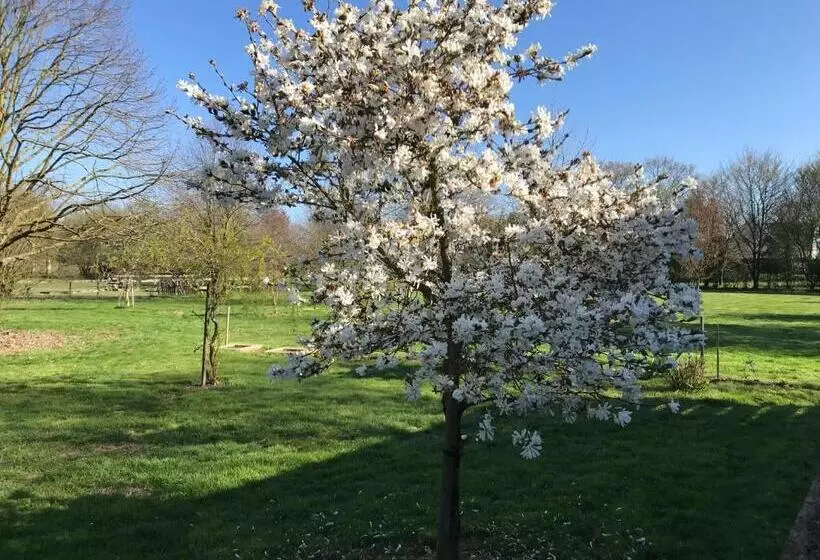 Aamiaismajoitus (B&B) Chambre à La Campagne
