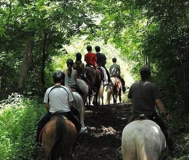 ホテル Pirineos Cien Lagos