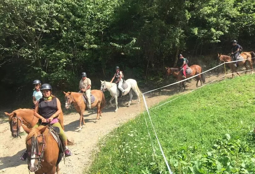 ホテル Pirineos Cien Lagos