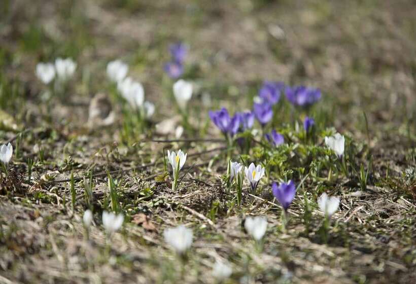 هتل Riversong Centre Thermal