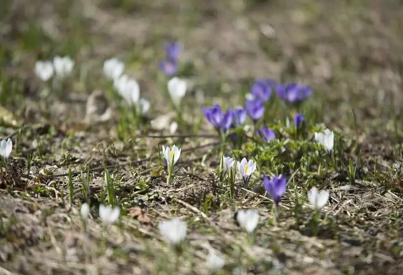 ホテル Riversong Centre Thermal