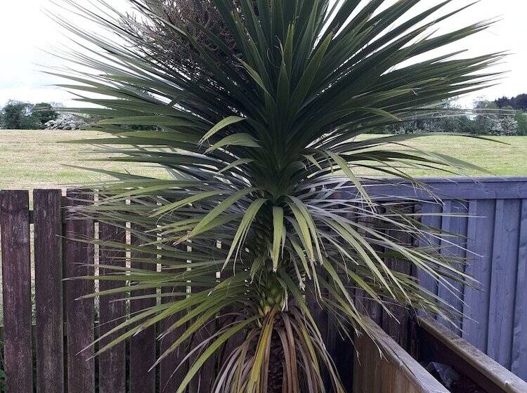 ベッドアンドブレックファースト Evaron House