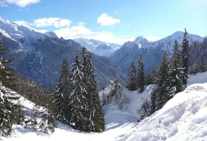 Chalet Hotel Rhododendrons