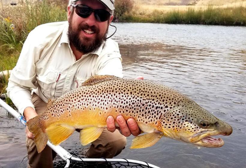 فندق Grey Cliffs Ranch