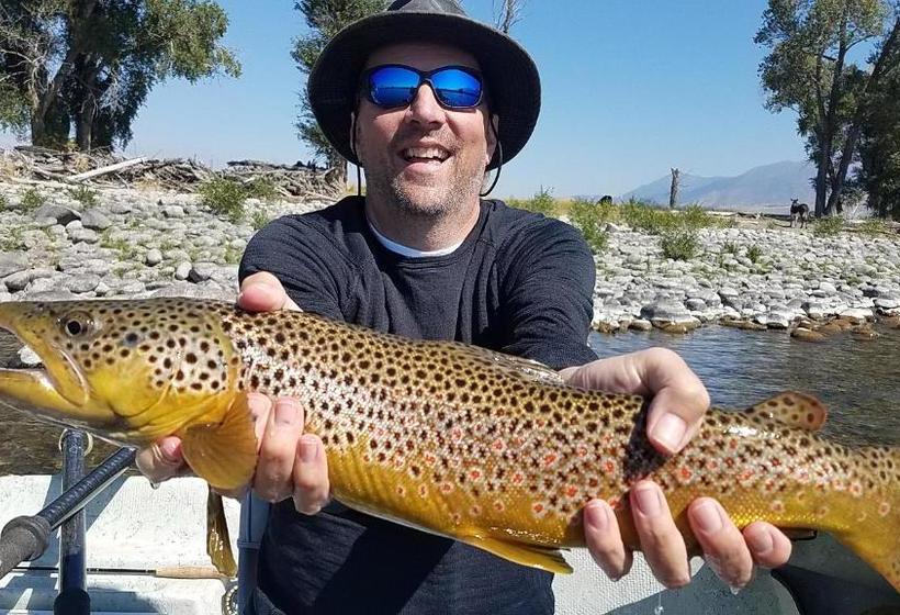 فندق Grey Cliffs Ranch