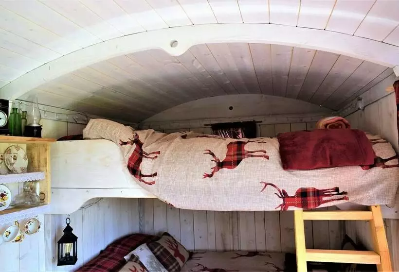 Meadow Shepherds Hut