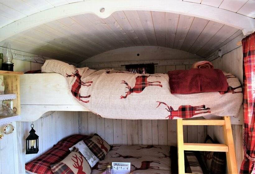 Meadow Shepherds Hut