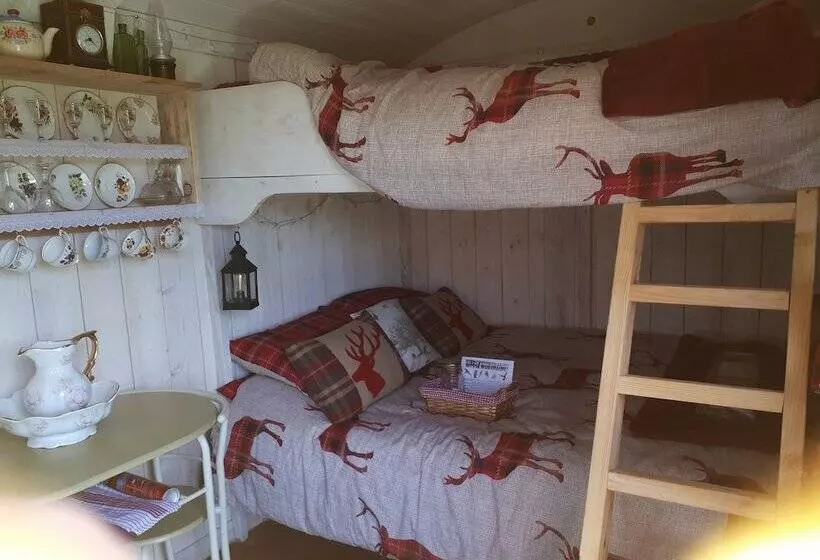 Meadow Shepherds Hut