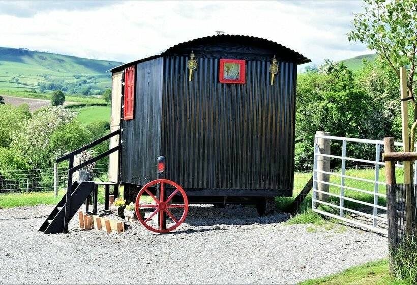 Meadow Shepherds Hut