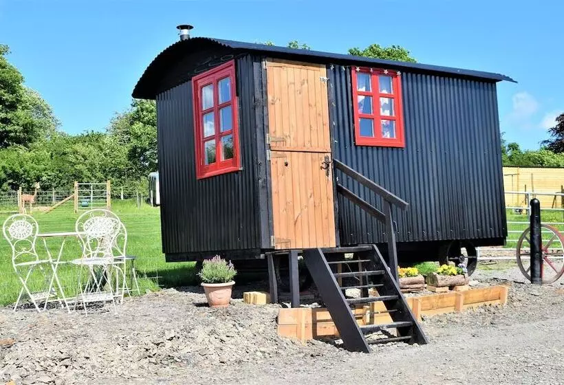Meadow Shepherds Hut