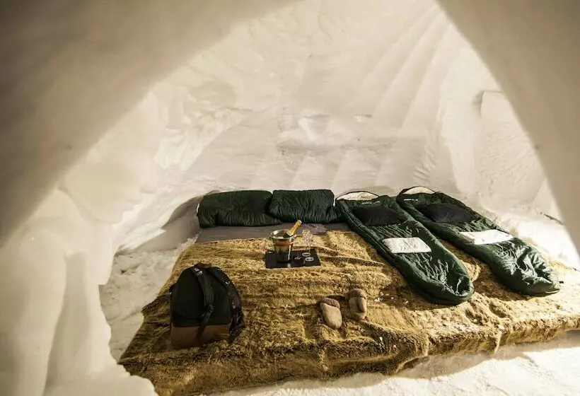 پانسیون Blacksheep Village Igloo