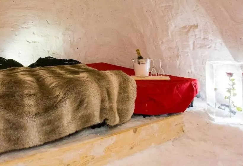 پانسیون Blacksheep Village Igloo