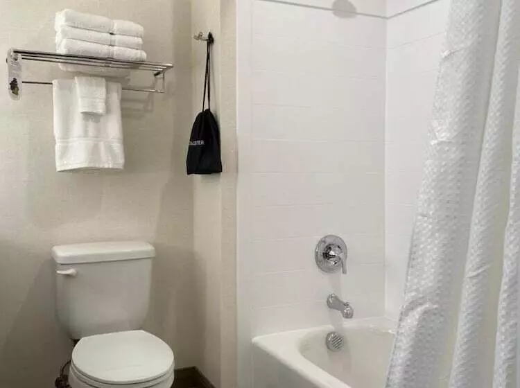 هتل Simple Suites Boise Airport