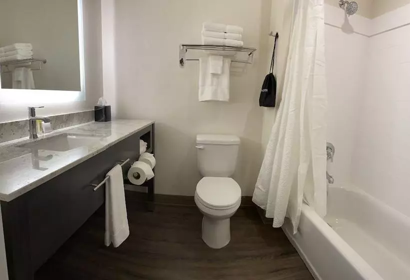 هتل Simple Suites Boise Airport