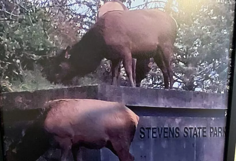 Motelli South Jetty Inn