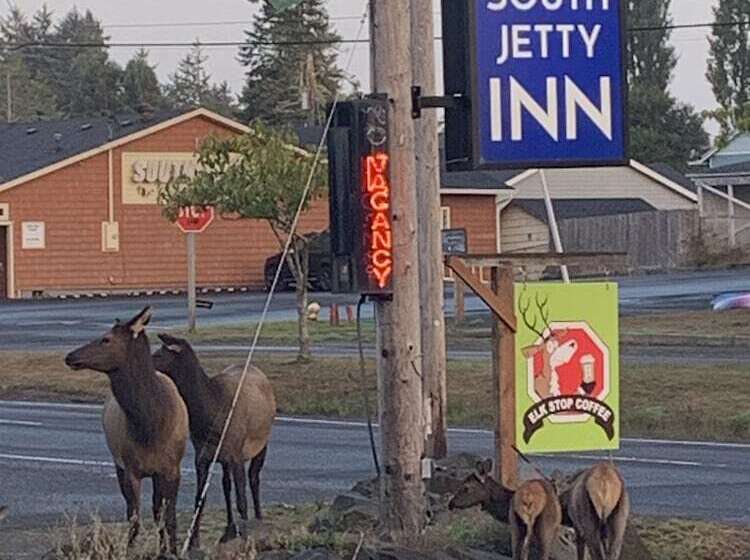 Motel South Jetty Inn