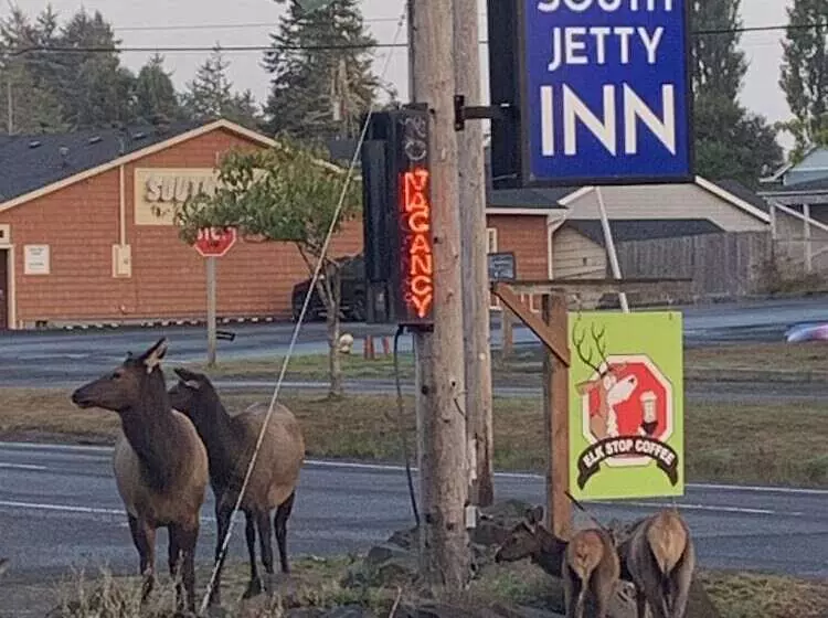 Motelli South Jetty Inn