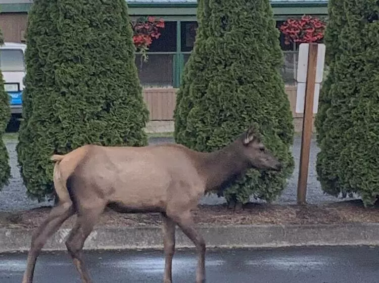 Motelli South Jetty Inn