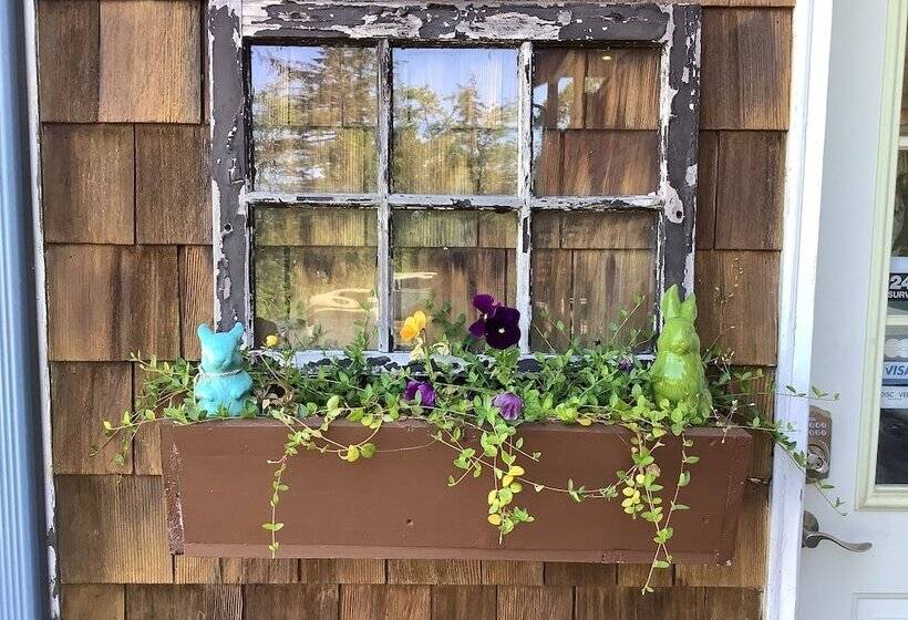 Motel South Jetty Inn