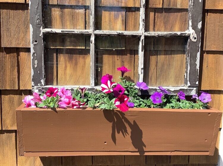 Motel South Jetty Inn