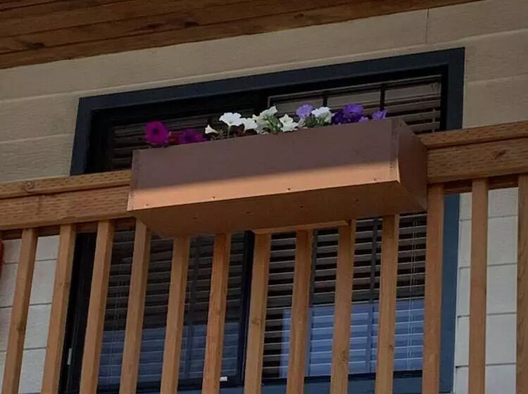 Motelli South Jetty Inn