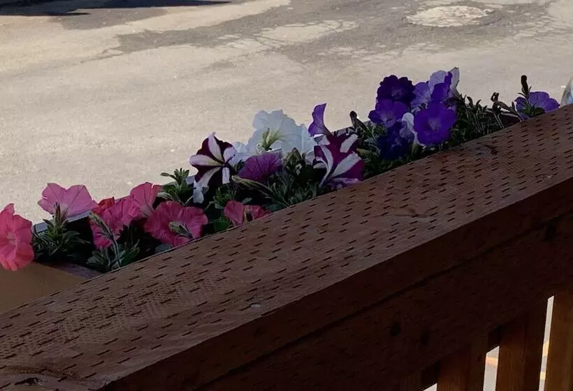 Motelli South Jetty Inn