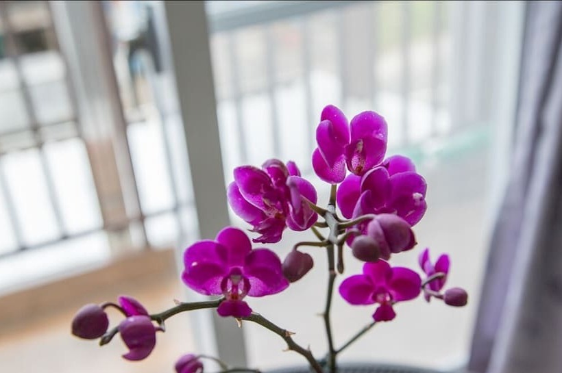 Majatalo Blackfoot Homestay