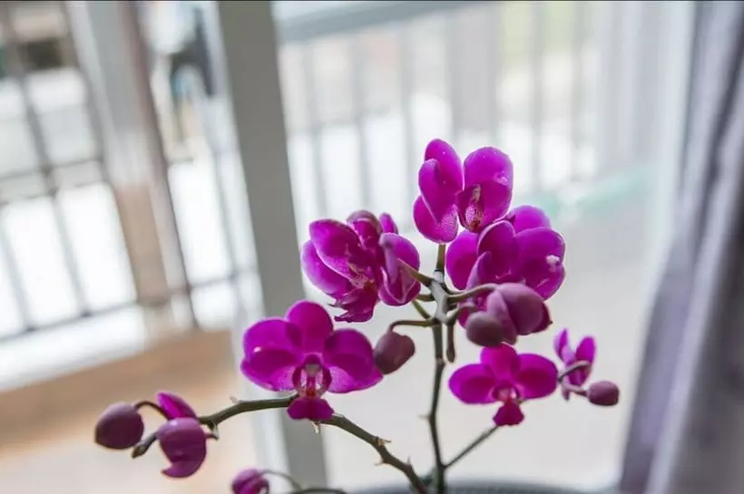 پانسیون Blackfoot Homestay