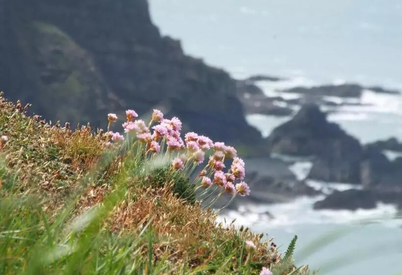 Majatalo Corner House Guest House