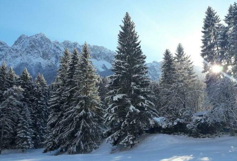 ペンション Gästehaus Lehnerer Grainau