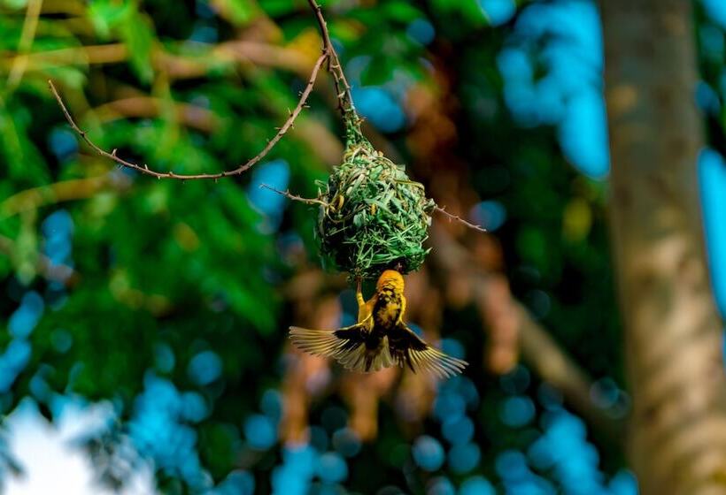 پانسیون Tiloreza Volcanoes Ecolodge