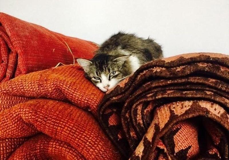 Bliss Riad Marrakech