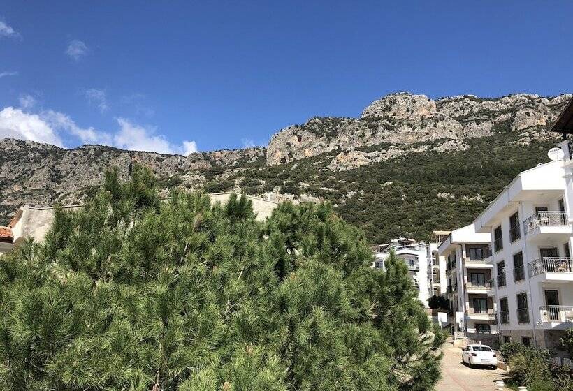 فندق Caretta Pansi̇yon