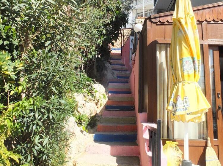 فندق Caretta Pansi̇yon