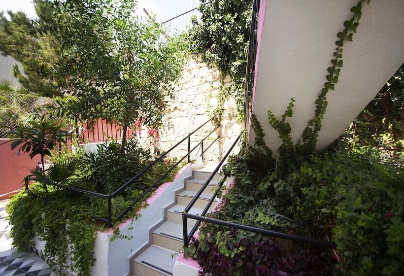 فندق Caretta Pansi̇yon