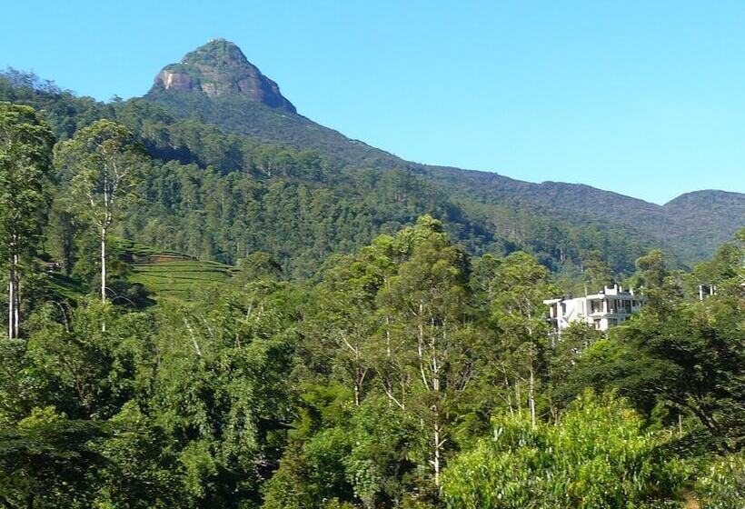 بنسيون White House Adam`s Peak