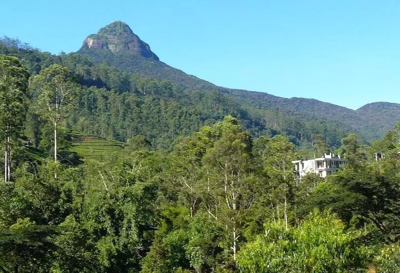 ペンション White House Adam`s Peak