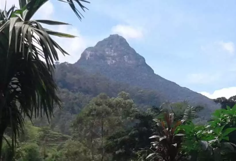 ペンション White House Adam`s Peak