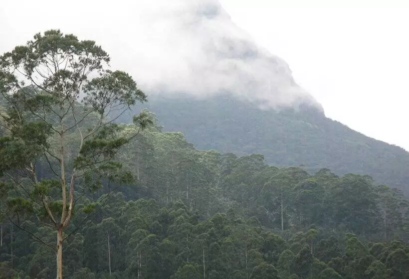 ペンション White House Adam`s Peak