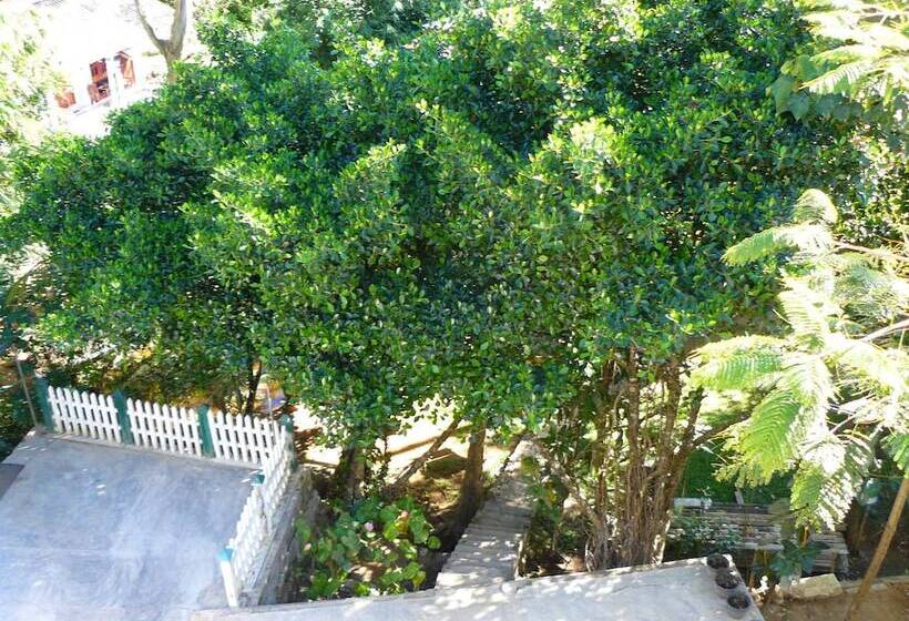 بنسيون White House Adam`s Peak