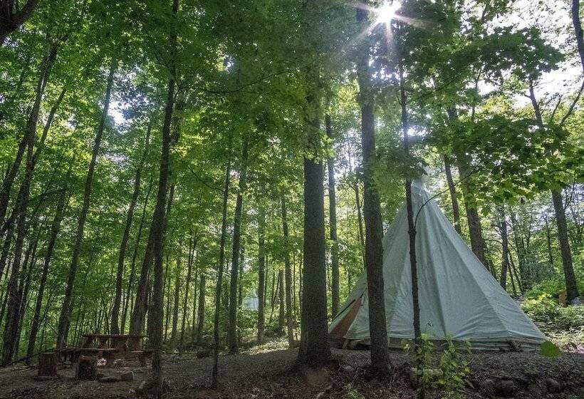 リゾートホテル Parc Omega