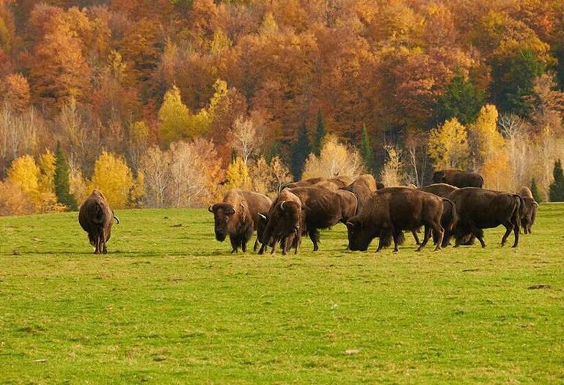 リゾートホテル Parc Omega