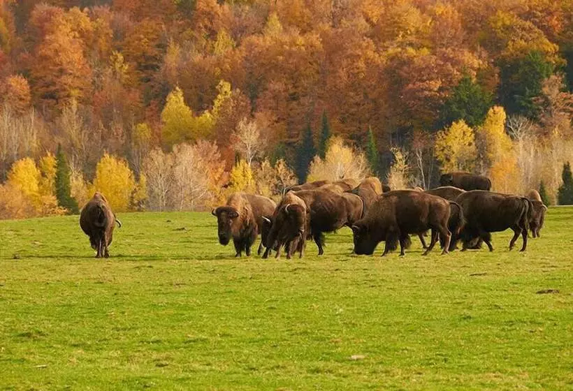 Lomakeskus Parc Omega