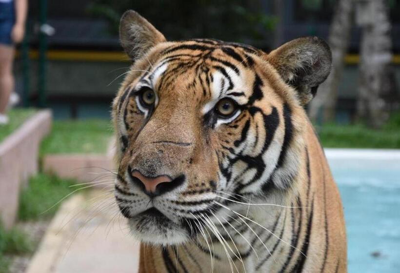 Hotelli Oyo 885 You And Me House